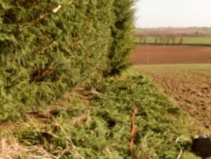 travaux extérieurs montauban (6)